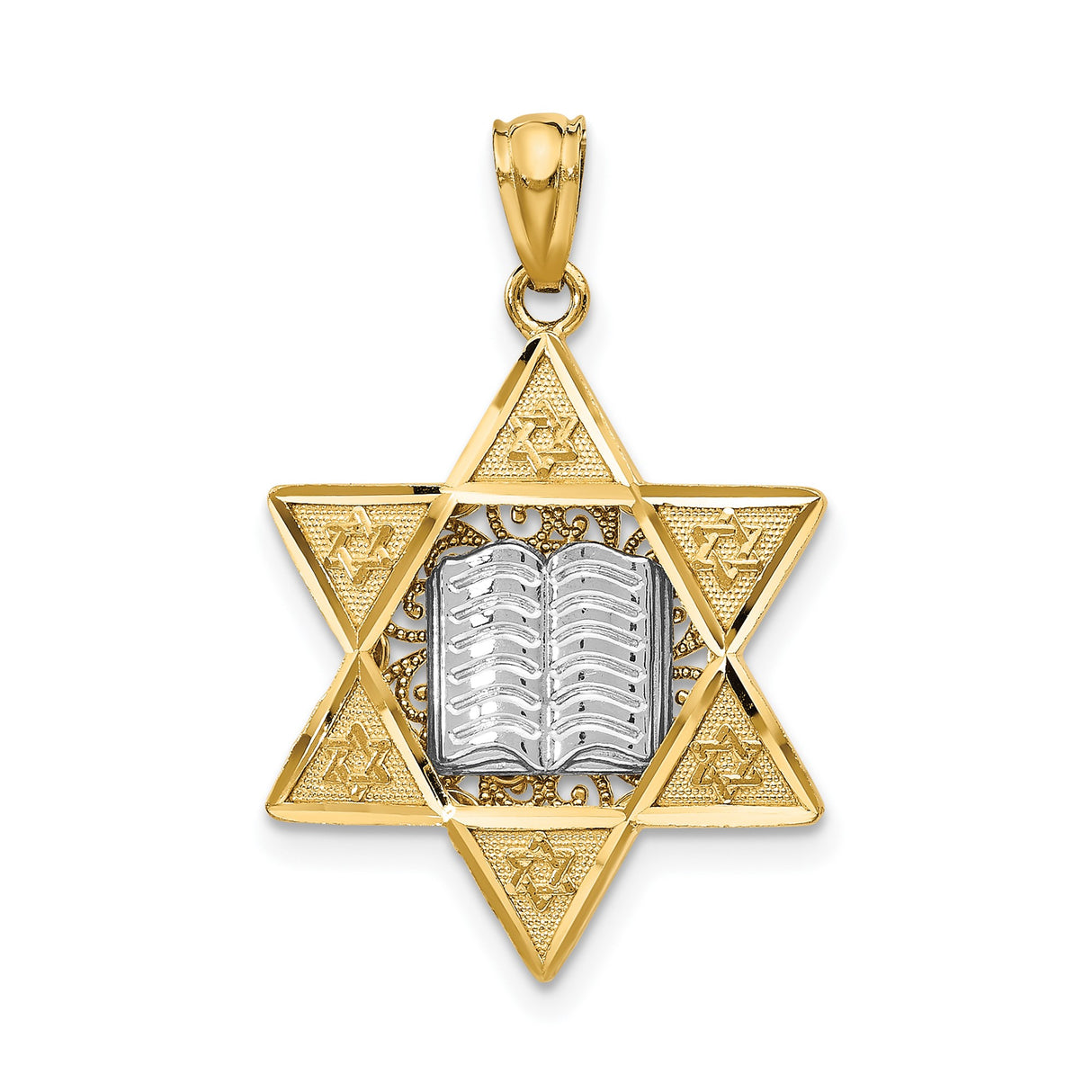 14k Two-Tone Gold Star of David Pendant with Open Torah Book and Small Stars