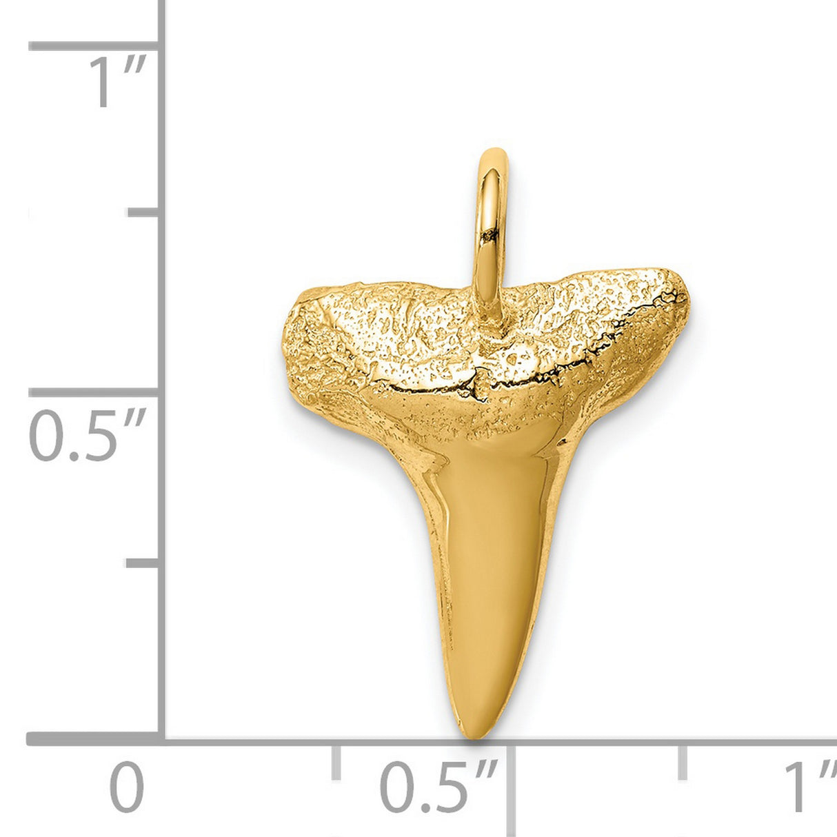 14k Yellow Gold Shark Tooth Pendant with Realistic Fossil Design, Nautical Ocean Jewelry for Men