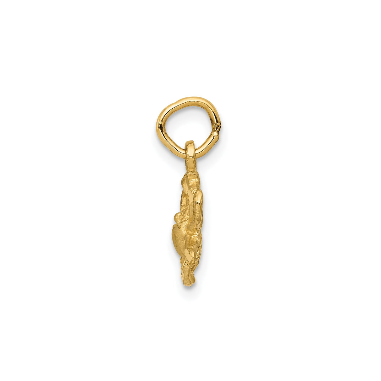 14k Yellow Gold Cancer Crab Zodiac Pendant with Horoscope Symbol, Astrology Charm for Women or Unisex