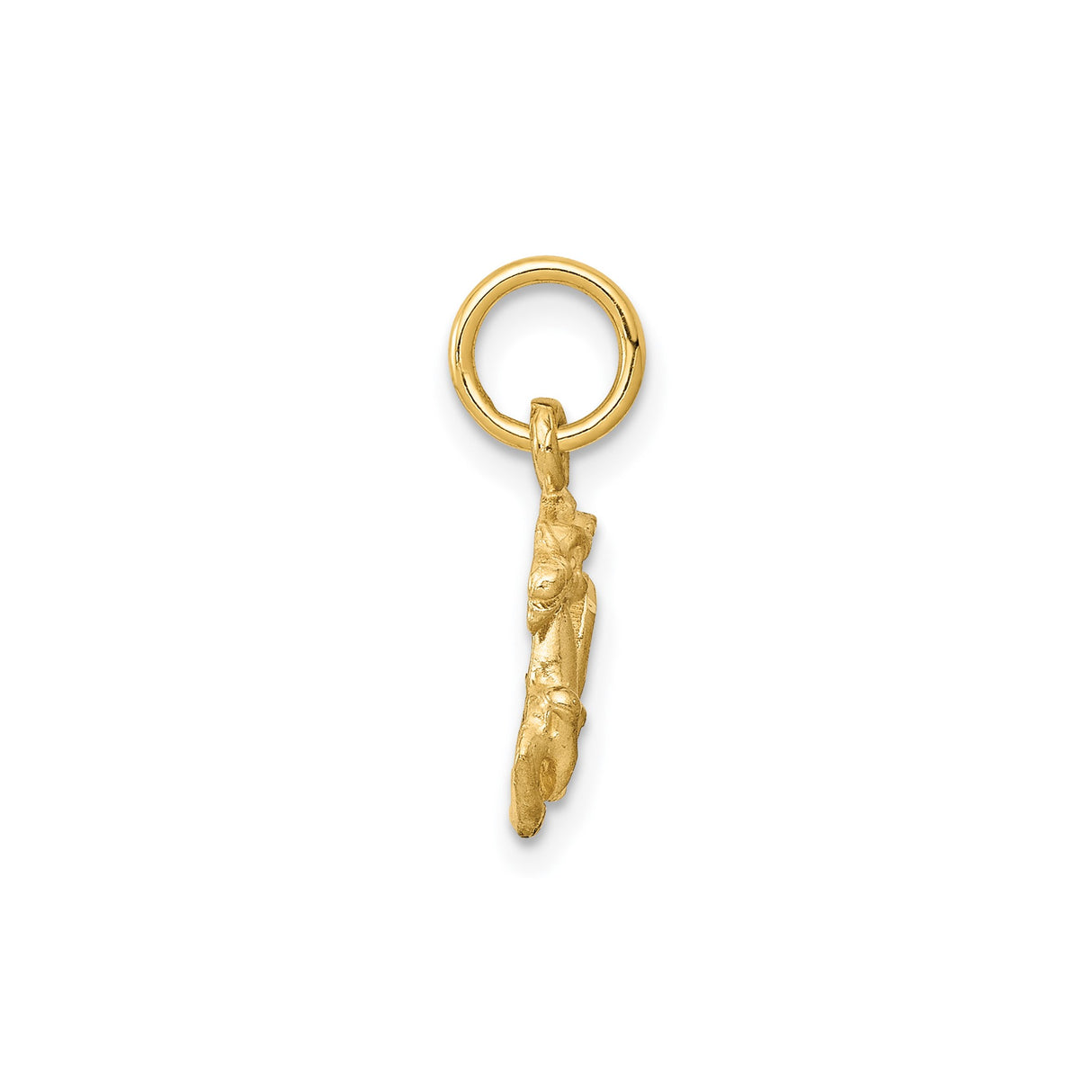 14k Yellow Gold Scorpio Zodiac Pendant with Scorpion Design, Astrology Talisman Charm