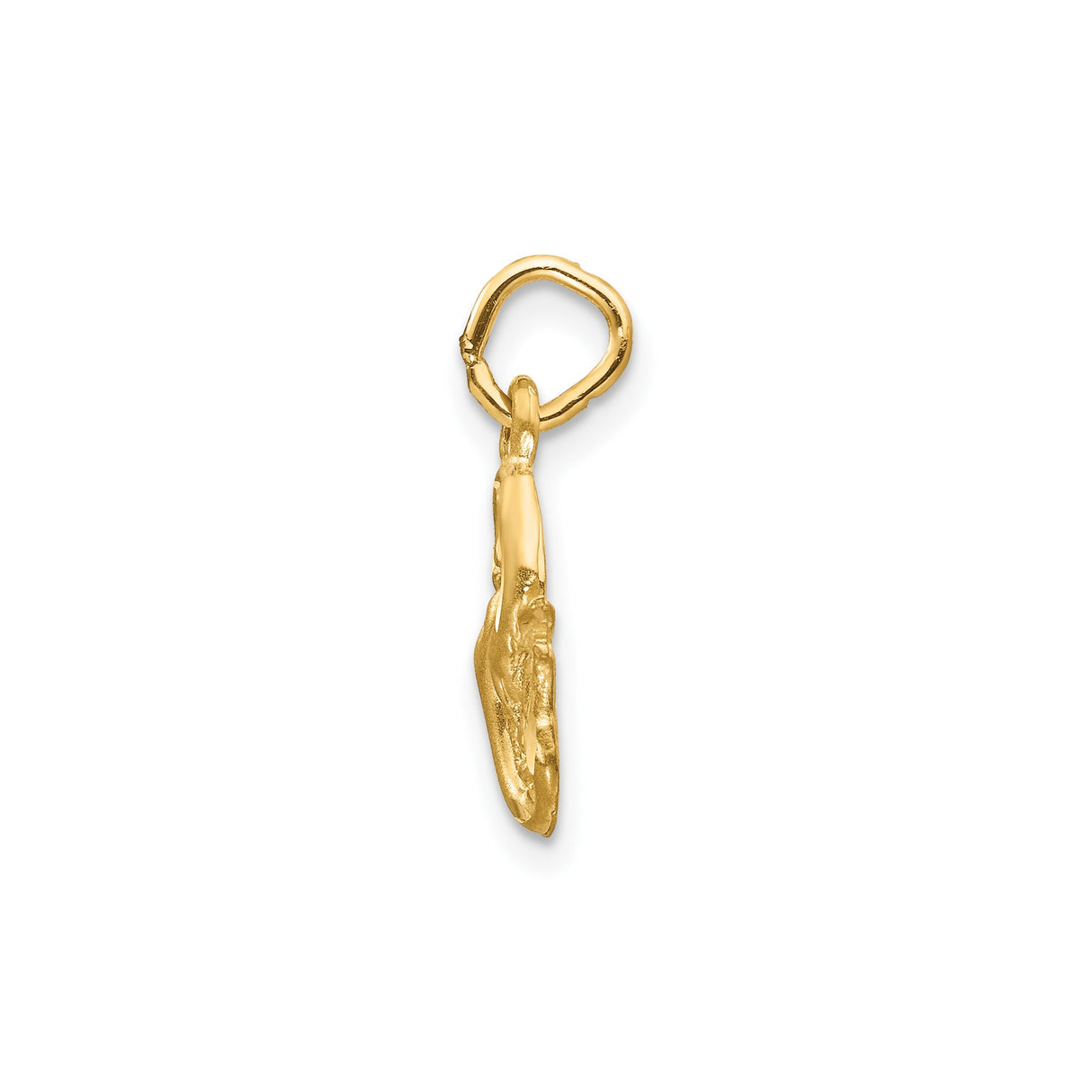 14k Yellow Gold Koi Fish Pendant, Circular Pisces Charm with Eastern Motif