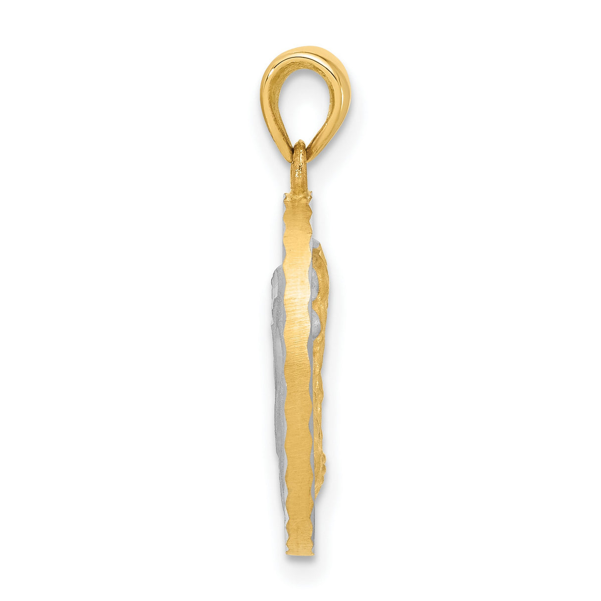 14k Two-Tone Gold Sacred Heart of Jesus Pendant, Textured Catholic Medal for Men or Women