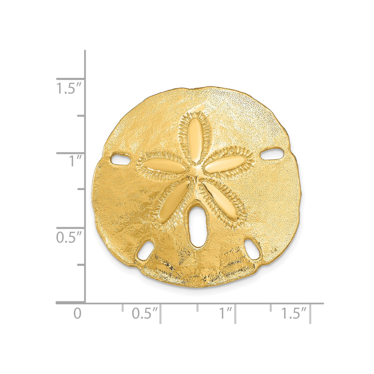14k Yellow Gold Sand Dollar Pendant, Nautical Marine Life Design, Coastal Summer Jewelry