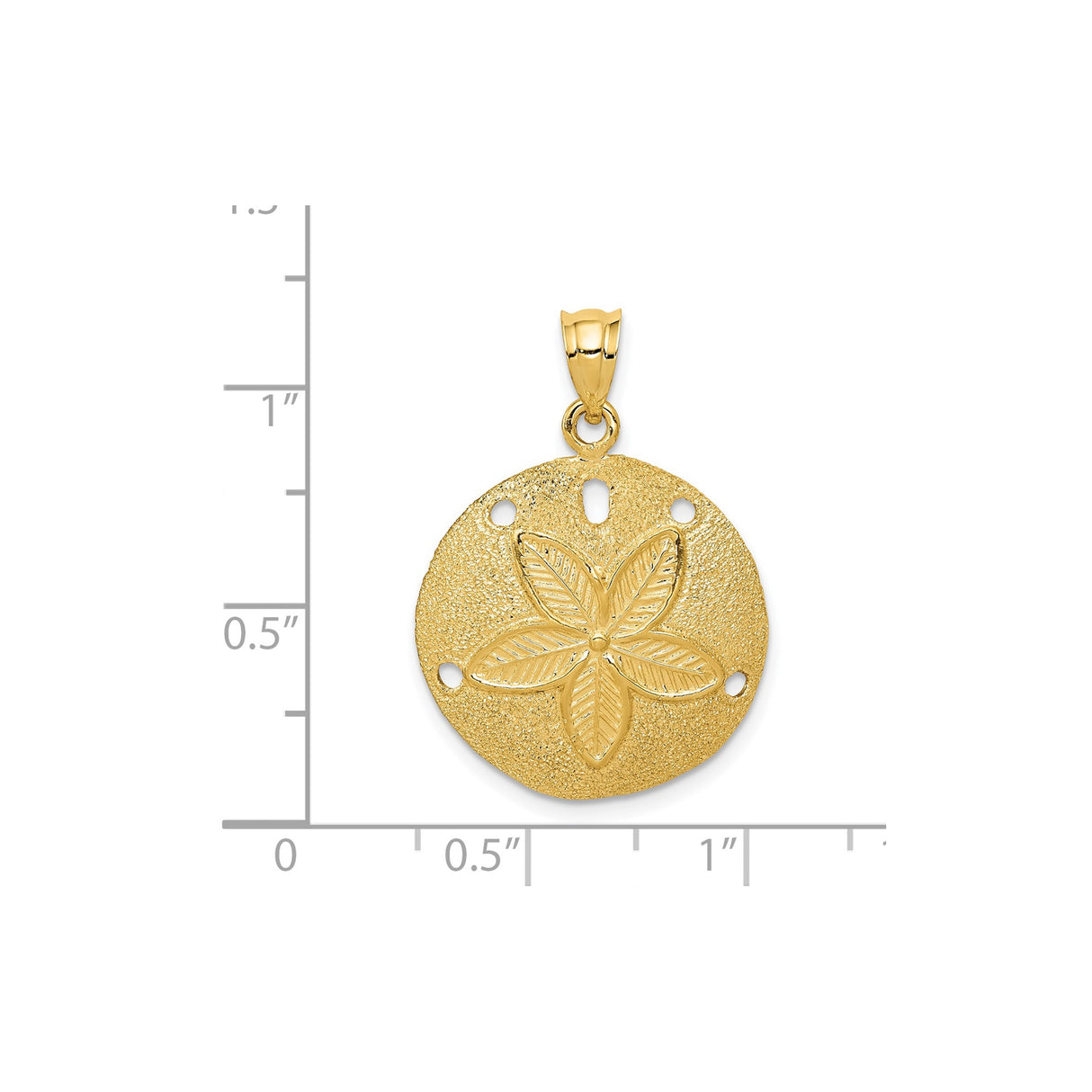 14k Yellow Gold Sand Dollar Pendant with Star Design, Nautical Beach Charm for Women