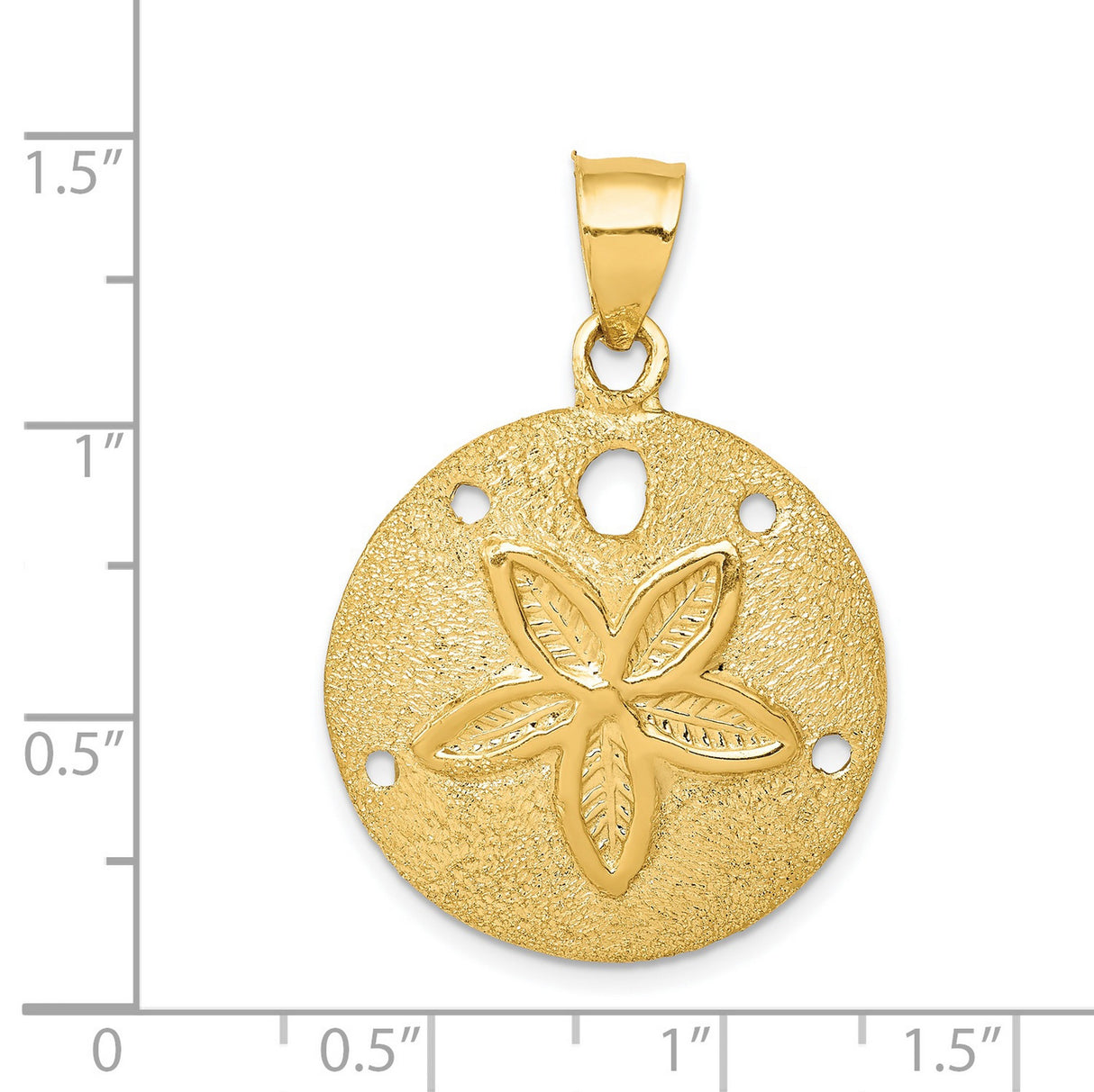 14k Yellow Gold Sand Dollar Pendant with Star Pattern, Nautical Beach Charm for Women