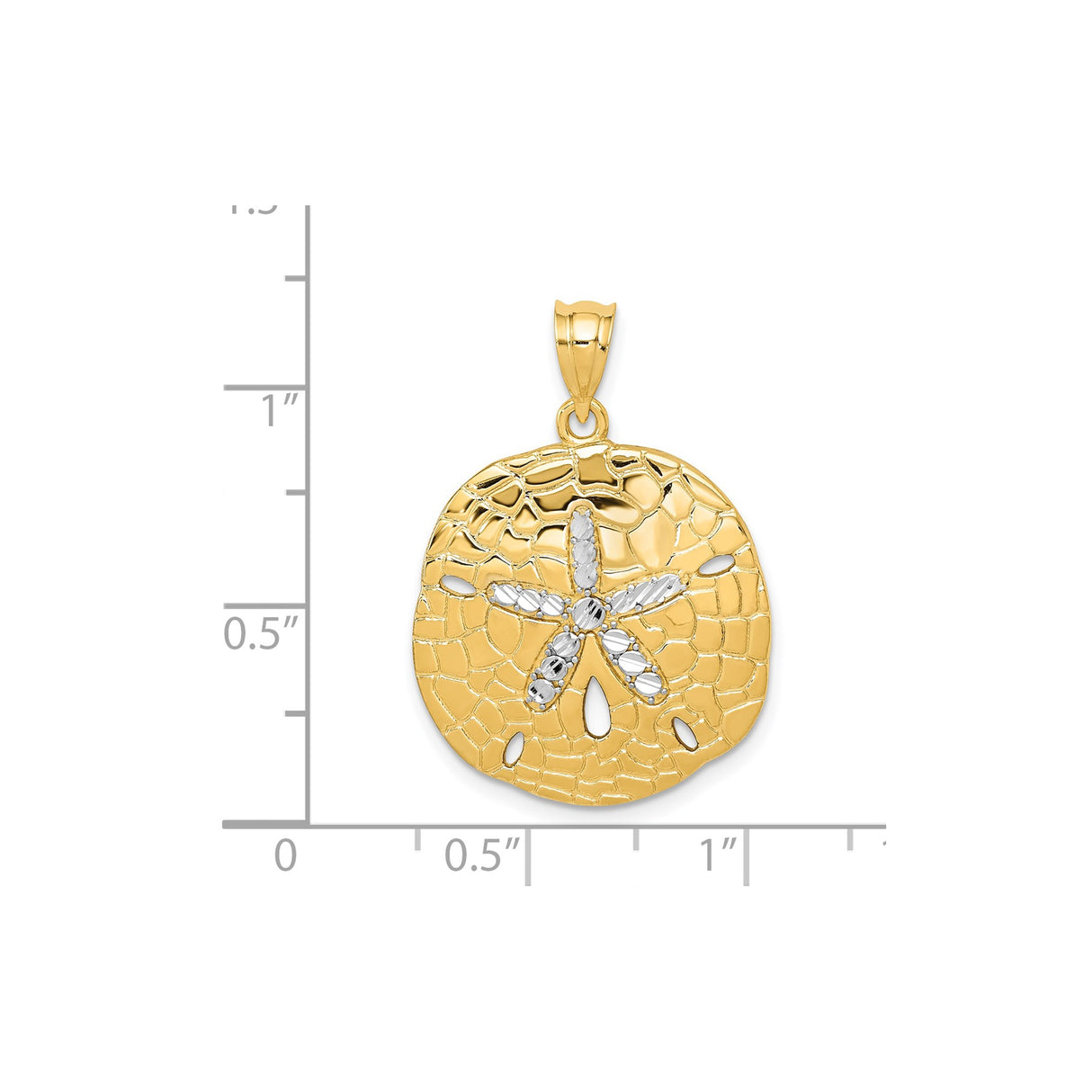 14k Multi-Tone Gold Sand Dollar Pendant with Textured Starfish Design, Coastal Beach Theme