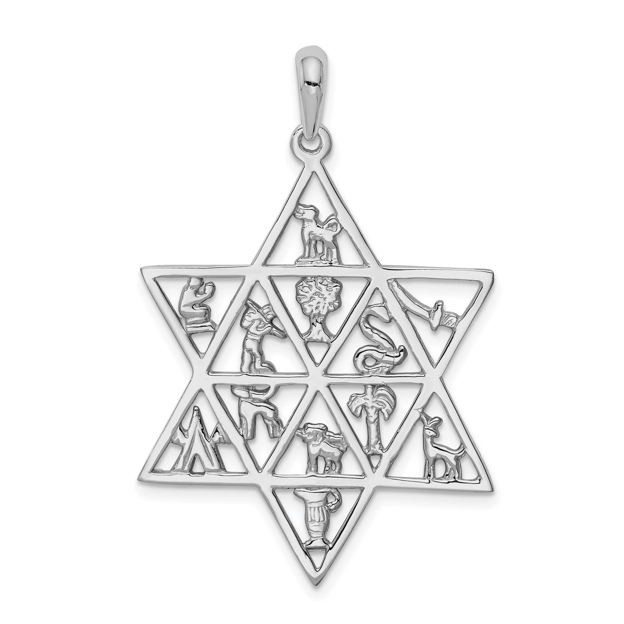 14k White Gold Star of David Pendant with Twelve Tribes Symbols, Jewish Religious Jewelry
