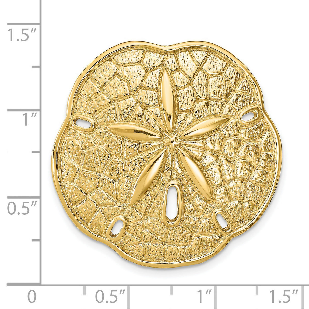 14k Yellow Gold Sand Dollar Pendant with Textured Ocean Design and Five Point Star