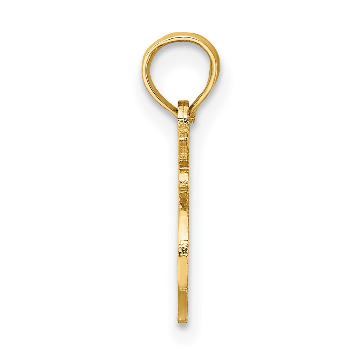 14k Yellow Gold Leo Zodiac Pendant with Lion Symbol, Horoscope Charm for Women or Unisex