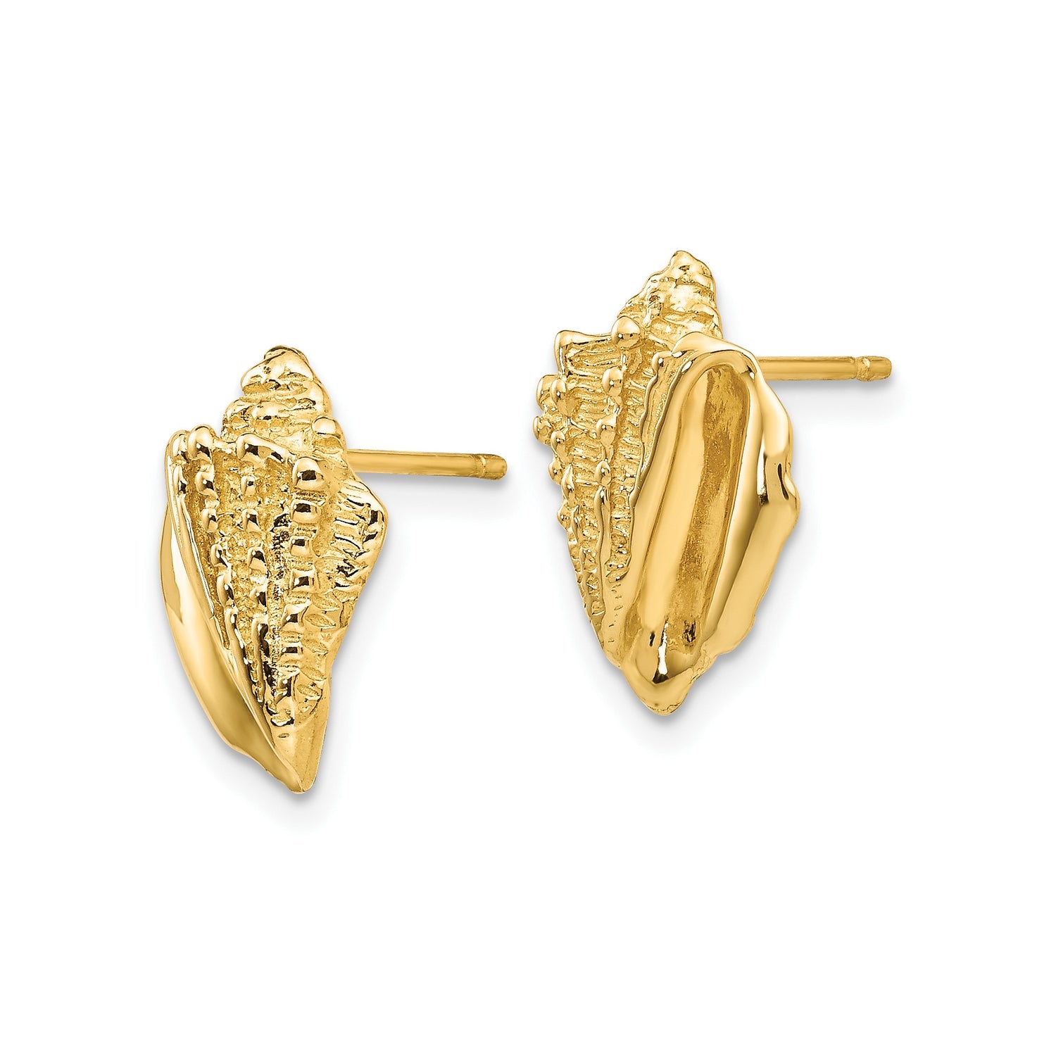 14k Yellow Gold Conch Shell Stud Earrings, Detailed Seashell Design, Coastal Beach Style for Women