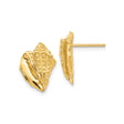 14k Yellow Gold Conch Shell Stud Earrings, Detailed Seashell Design, Coastal Beach Style for Women