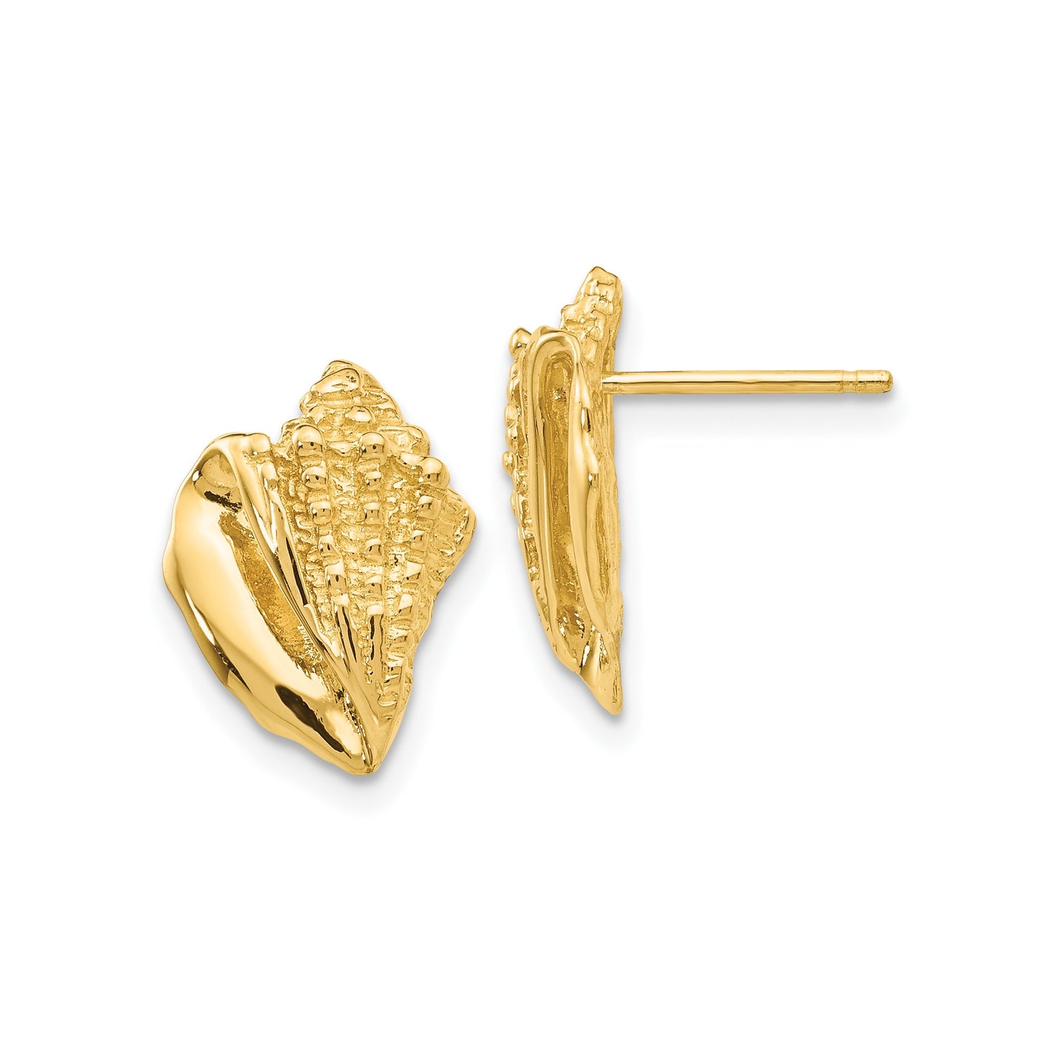 14k Yellow Gold Conch Shell Stud Earrings, Detailed Seashell Design, Coastal Beach Style for Women