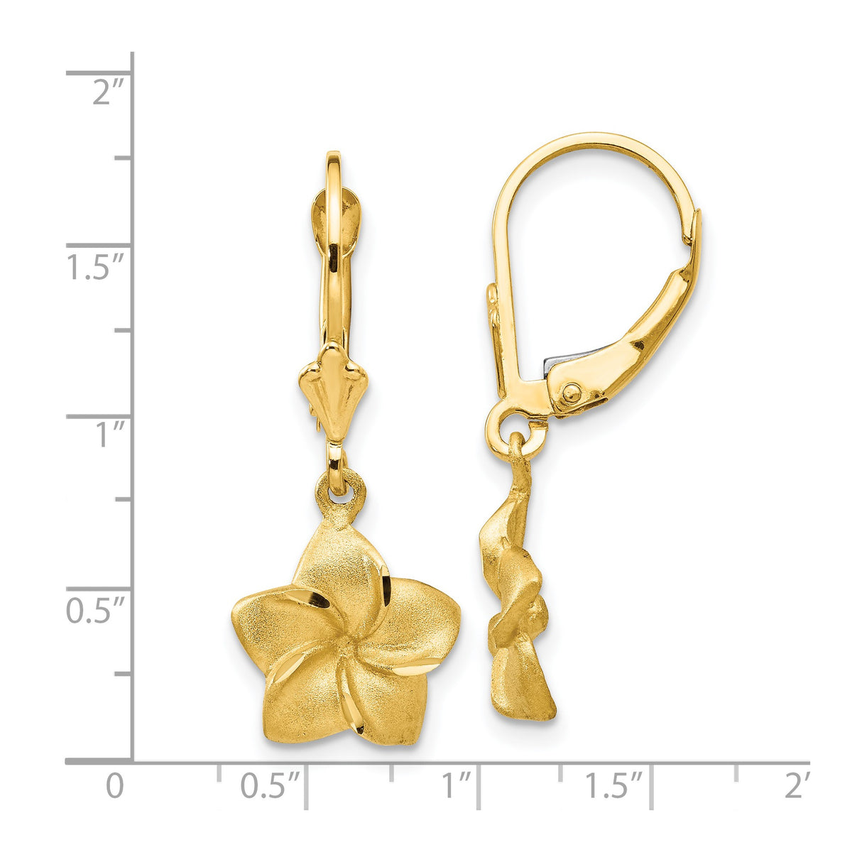 14k Yellow Gold Leverback Earrings with Textured Plumeria Flower Design, Floral Drop Style for Women