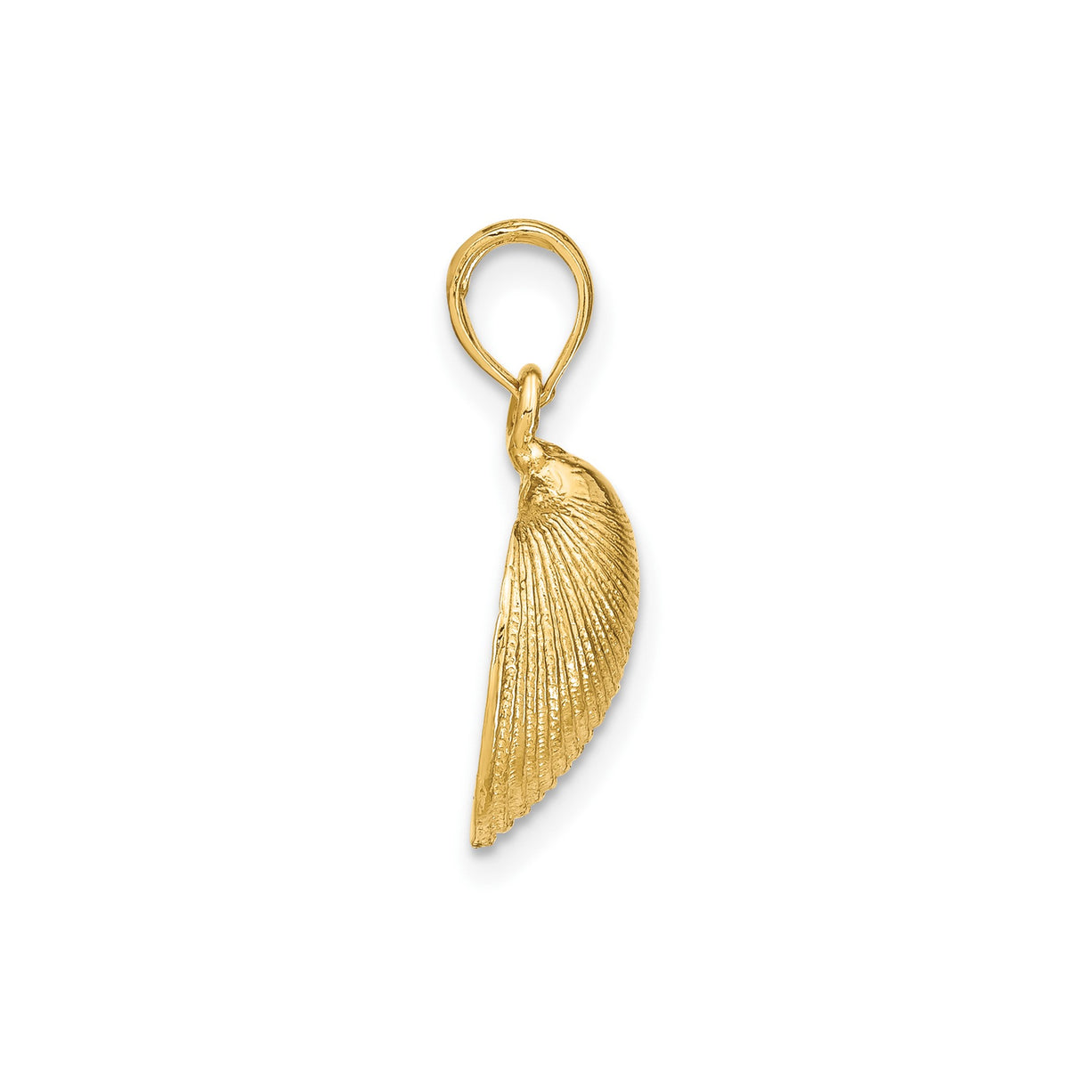 14k Yellow Gold Seashell Pendant, Ridged Shell Detail, Ocean Theme Jewelry for Women