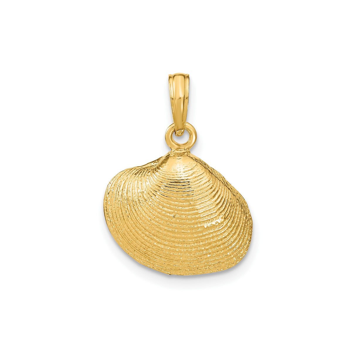 14k Yellow Gold Seashell Pendant, Ridged Shell Detail, Ocean Theme Jewelry for Women