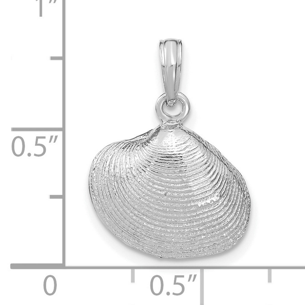 14k White Gold Seashell Pendant with Textured Shell Design, Ocean Theme for Women