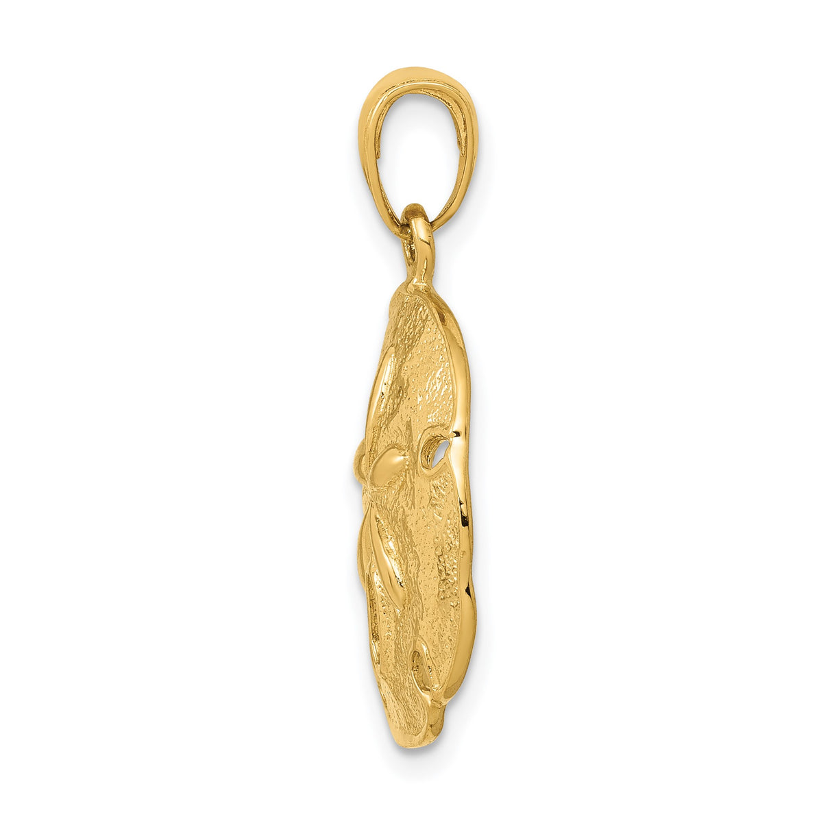 14k Yellow Gold Sand Dollar Pendant, Ocean-Inspired Nautical Charm for Women