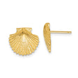 14k Yellow Gold Scallop Shell Stud Earrings, Marine Inspired Beach Jewelry for Women