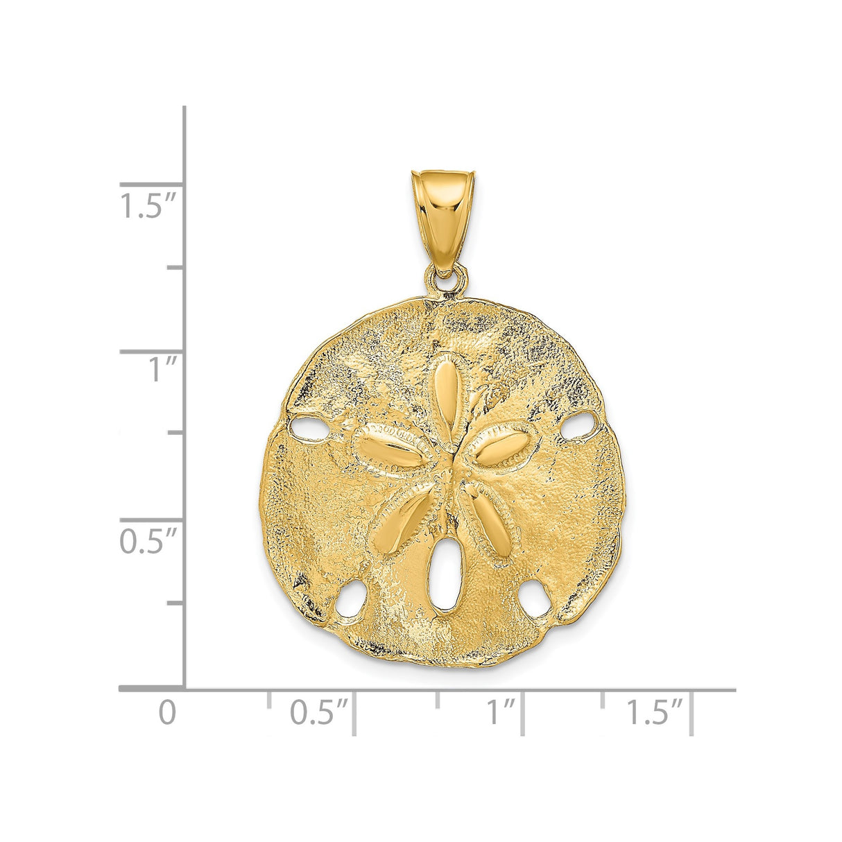 14k Yellow Gold Sand Dollar Pendant, Textured Cutout Coastal Nautical Charm for Women