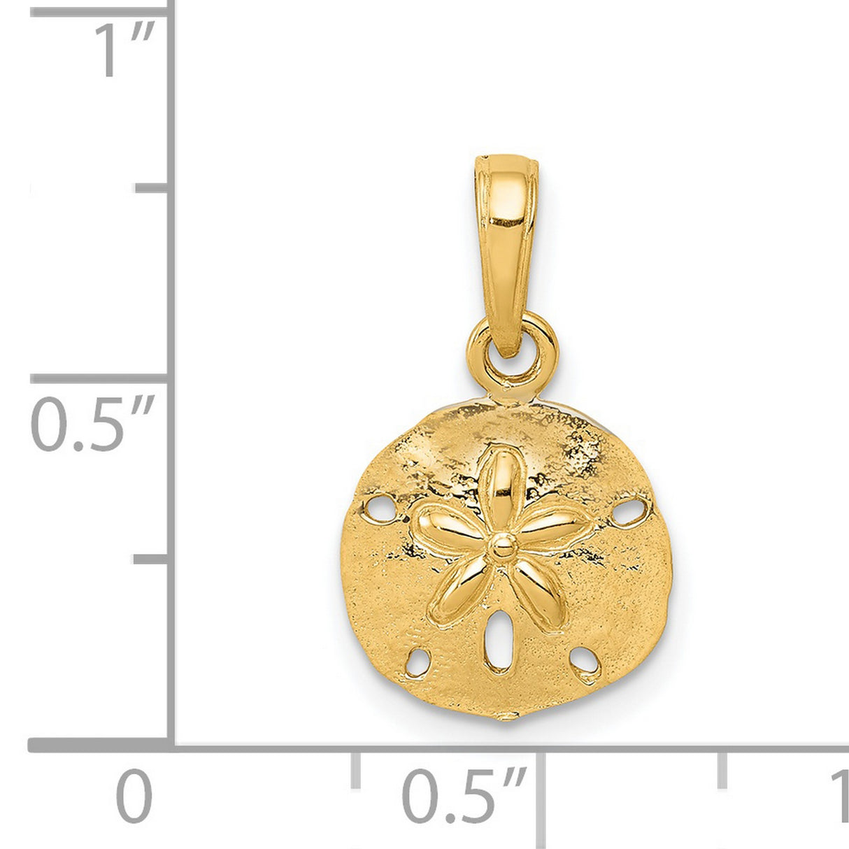 14k Yellow Gold Sand Dollar Pendant, Textured Ocean-Inspired Coastal Charm for Women
