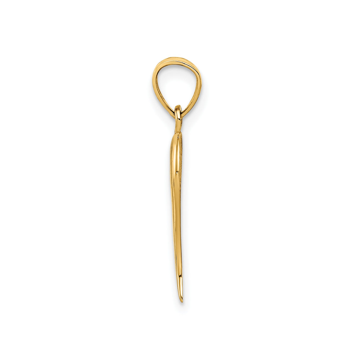 14k Yellow Gold Italian Horn Pendant, Cornicello Talisman Amulet for Protection and Good Luck
