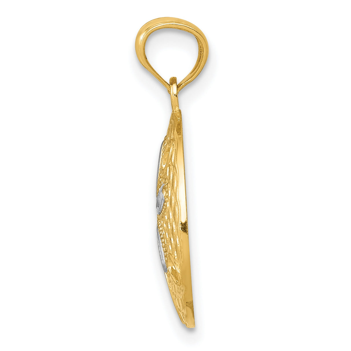 Polished Sand Dollar With Accents Charm Pendant in Real 14k Multi-Tone Gold