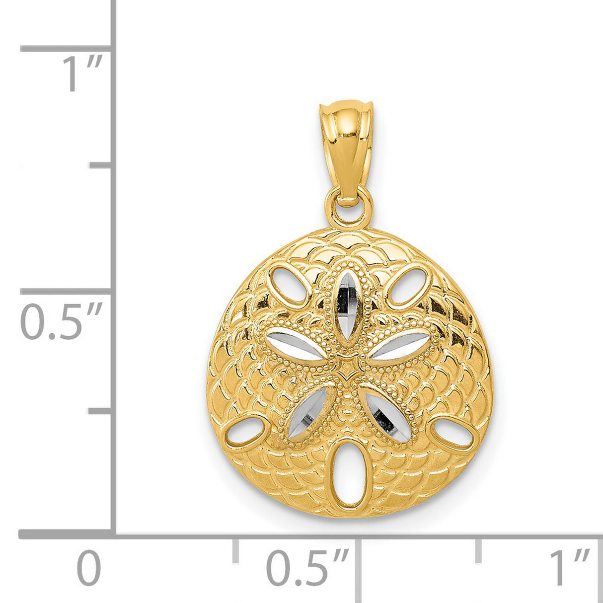 Polished Sand Dollar With Accents Charm Pendant in Real 14k Multi-Tone Gold