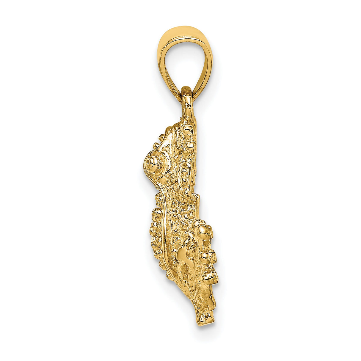14k Yellow Gold Frog Pendant, Detailed Tree Frog Charm with Nature Symbolism for Women or Unisex