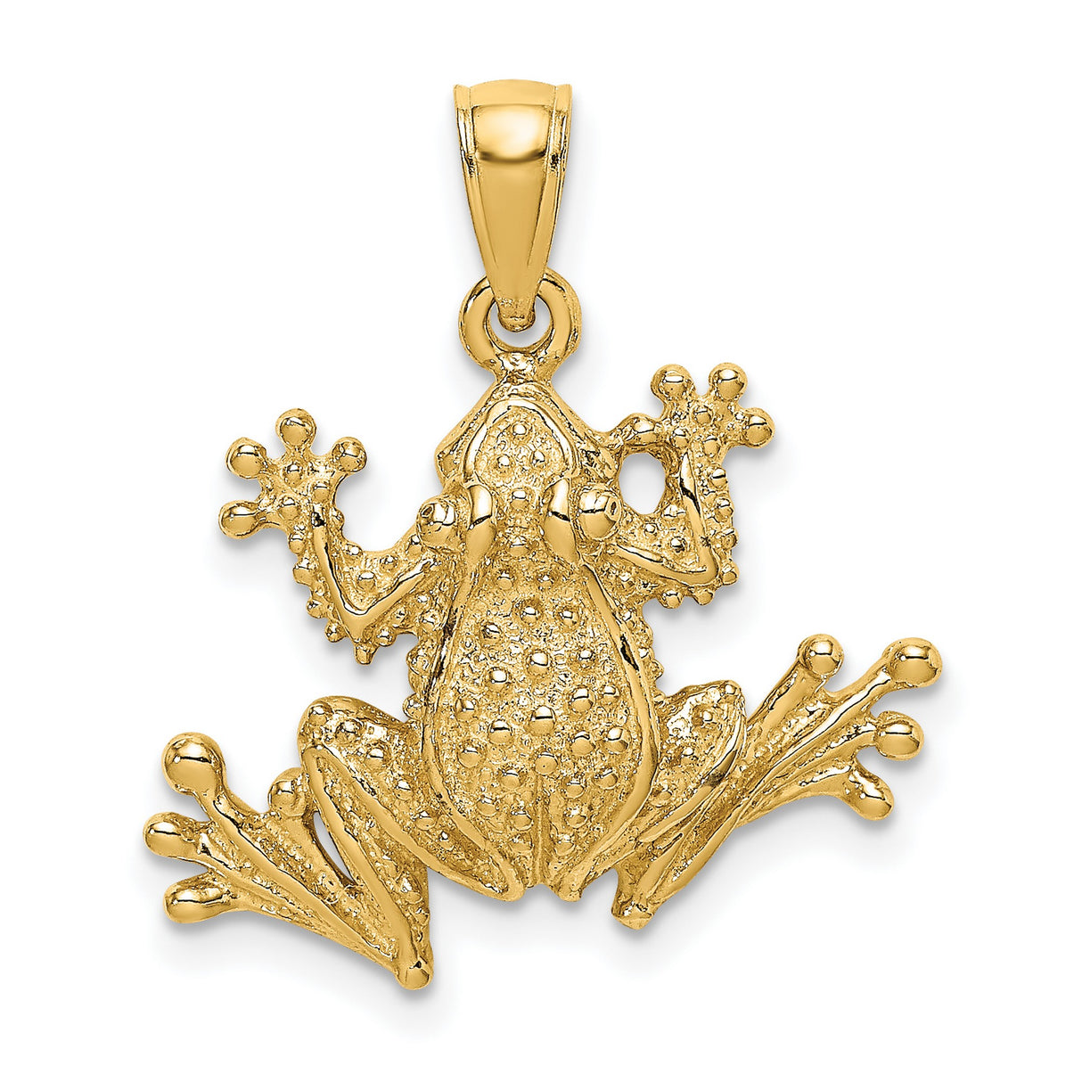 14k Yellow Gold Frog Pendant, Detailed Tree Frog Charm with Nature Symbolism for Women or Unisex