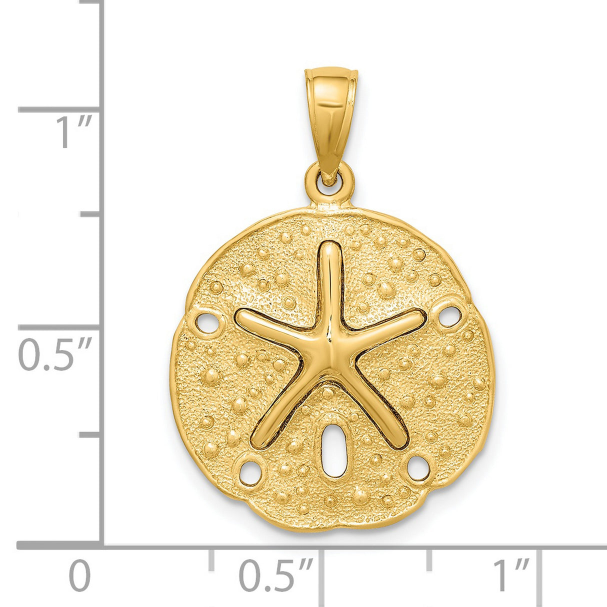 14k Yellow Gold Sand Dollar Pendant with Starfish Design, Nautical Ocean Charm
