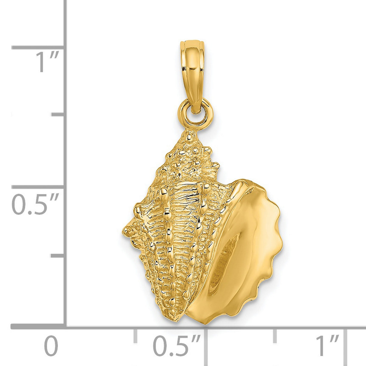 14k Yellow Gold Conch Shell Pendant, Nautical Ocean-Inspired Coastal Charm for Women