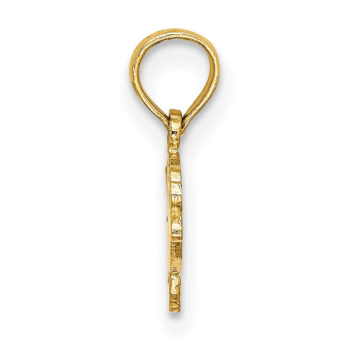 14k Yellow Gold Fish Pendant, Detailed Ocean-Inspired Religious Charm for Women or Unisex Wear