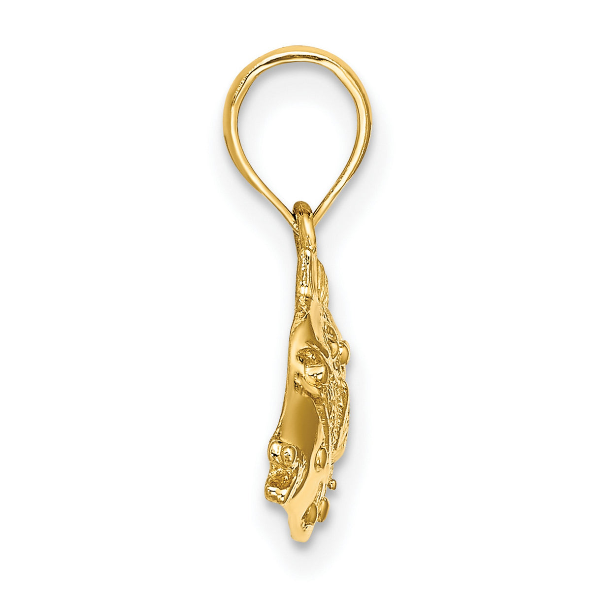 14k Yellow Gold Fish Pendant with Detailed Texture, Nautical and Religious Theme