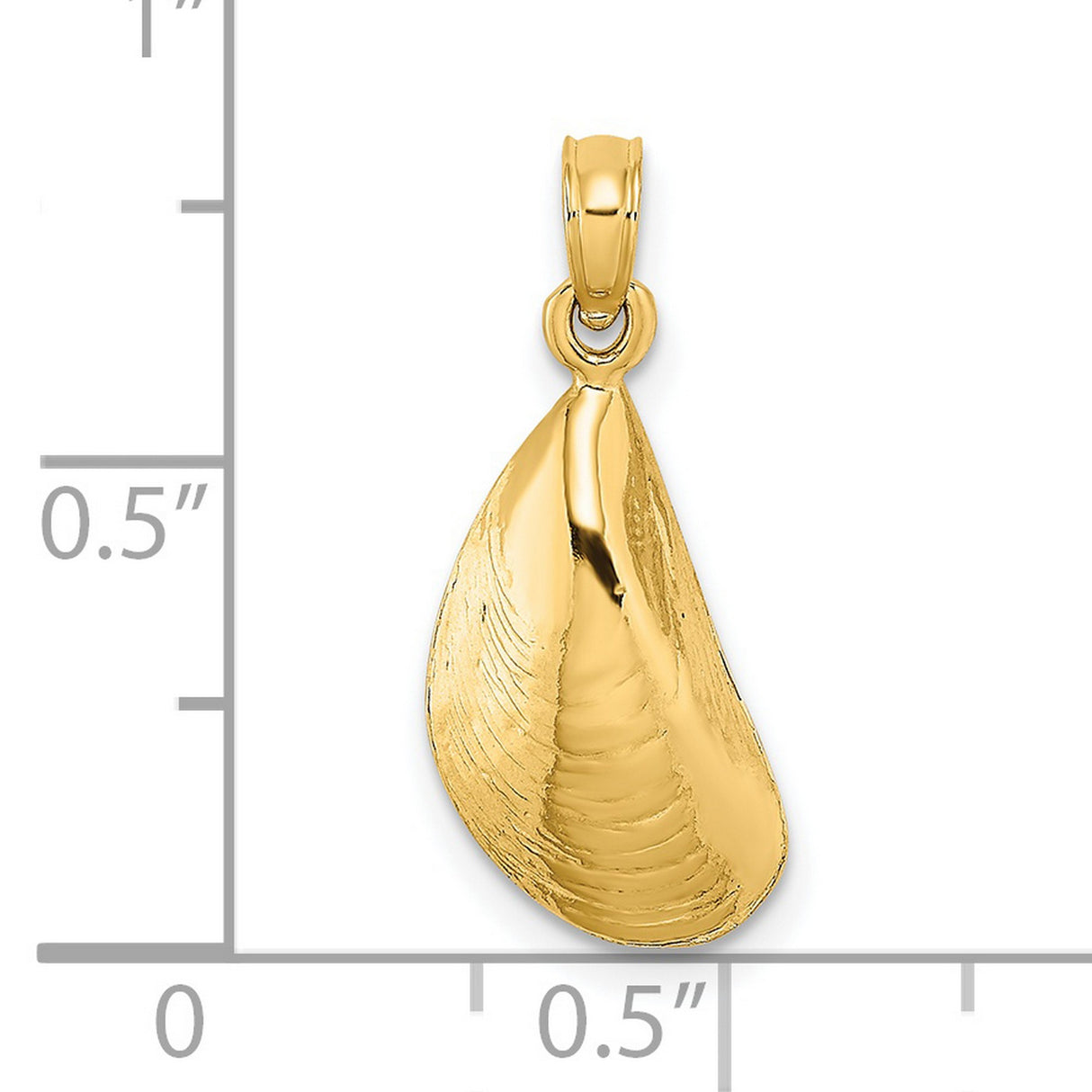 14k Yellow Gold Seashell Pendant with Realistic Mussel Shell Design, Coastal Beach Jewelry