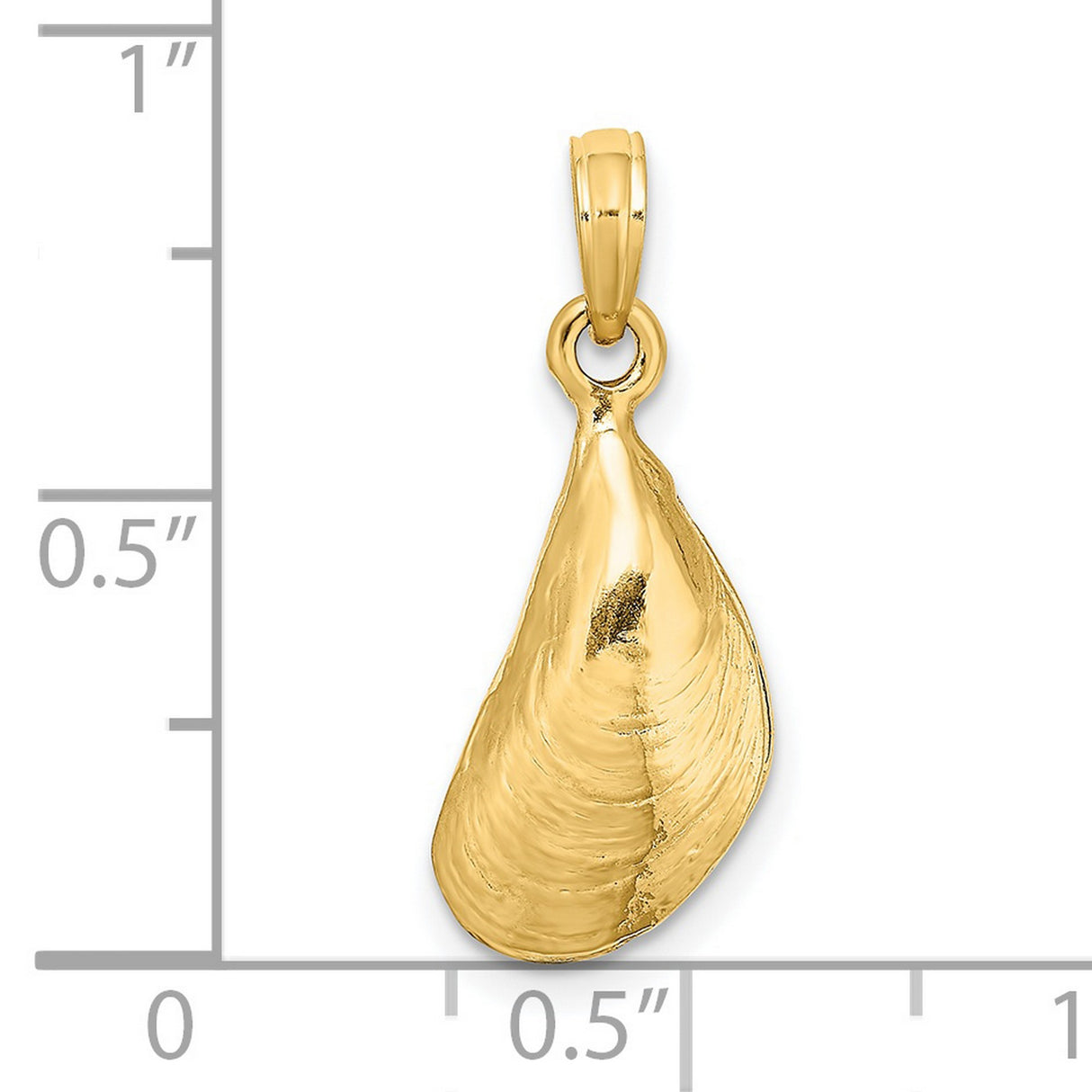 14k Yellow Gold Mussel Shell Pendant, Ocean-Inspired Coastal Charm