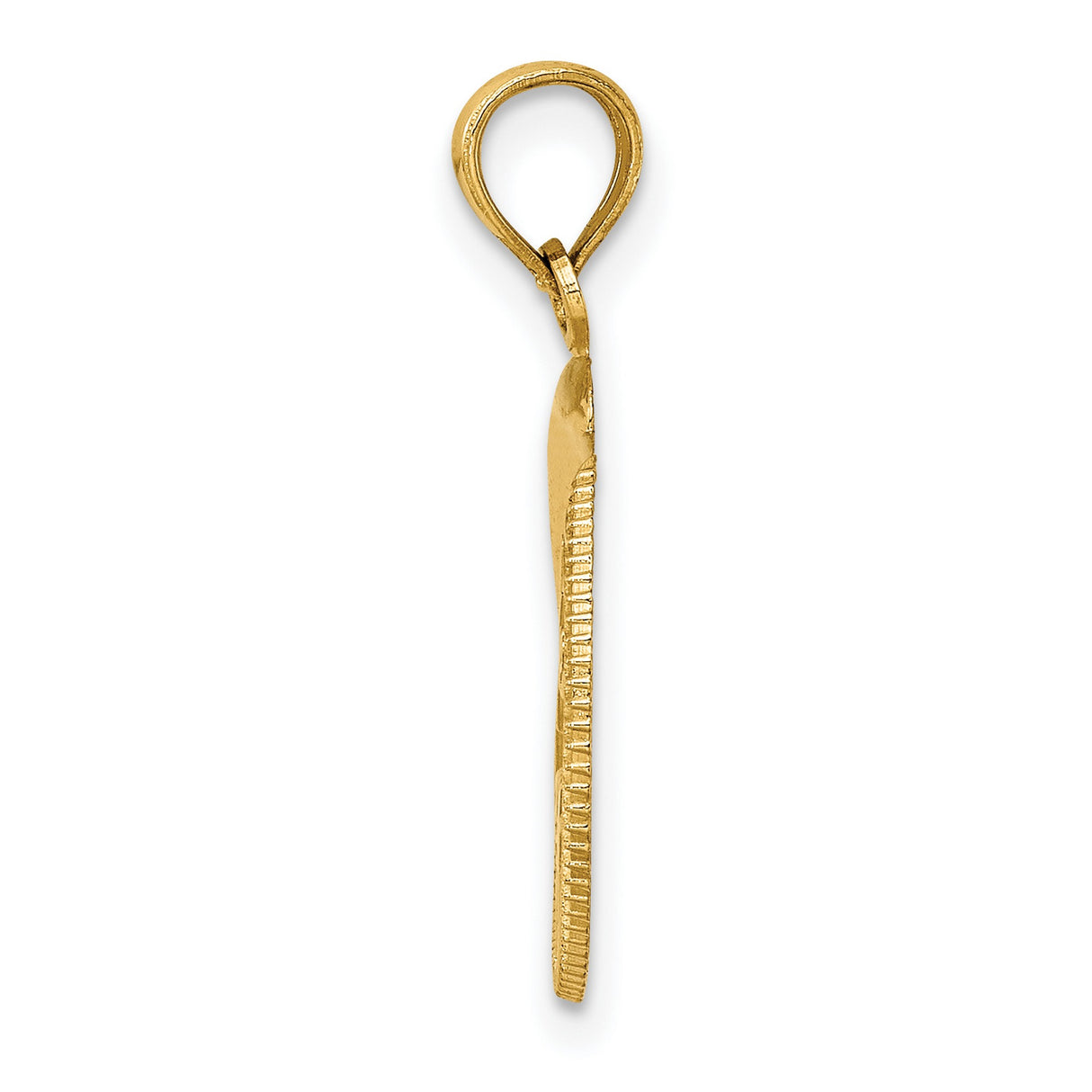 14k Yellow Gold Dolphin Pendant with Rope Border, Nautical Ocean Life Charm