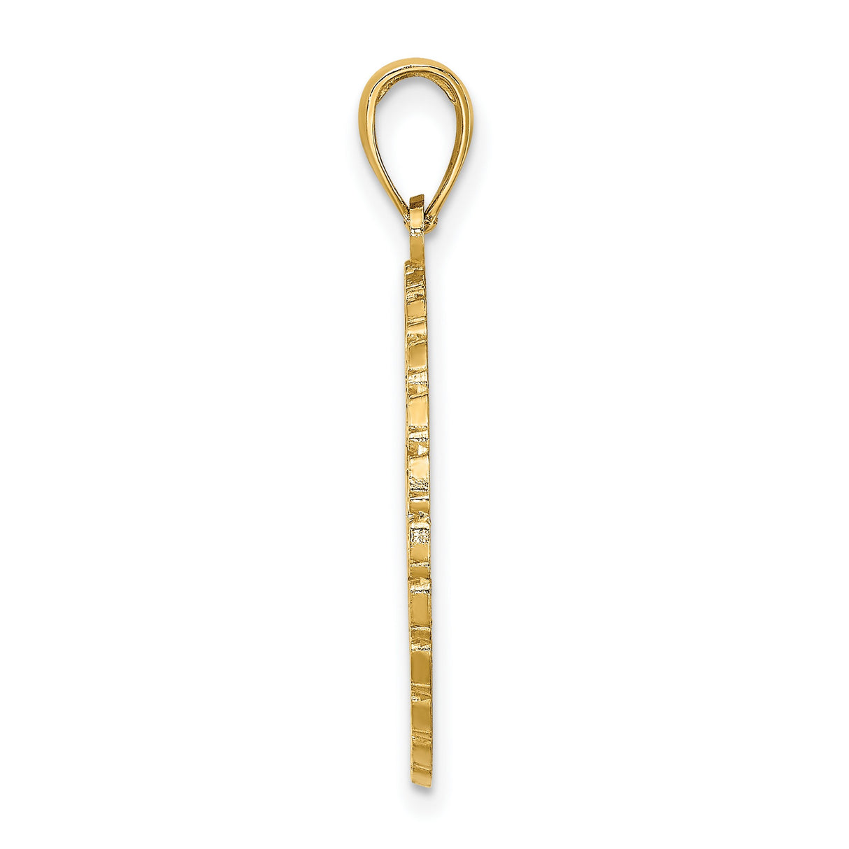 14k Yellow Gold Palm Tree Pendant with Textured Finish and Chain Border