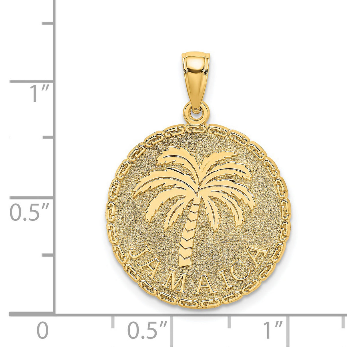 14k Yellow Gold Palm Tree Pendant with Textured Finish and Chain Border