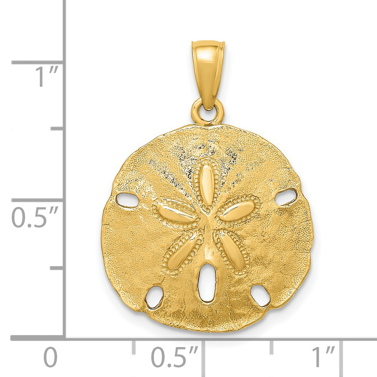 14k Yellow Gold Sand Dollar Pendant, Textured Ocean Design, Coastal Nautical Theme for Women