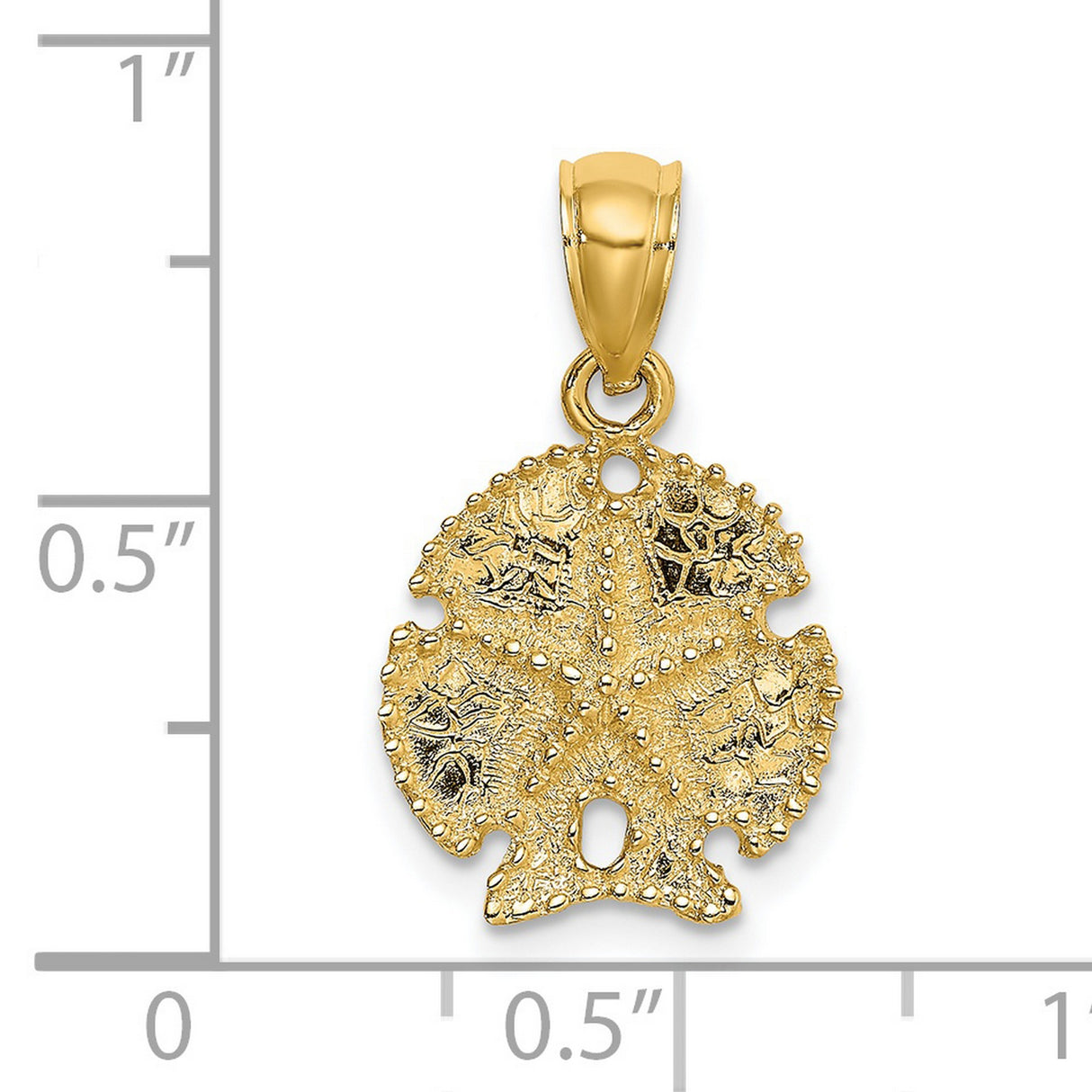 14k Yellow Gold Sand Dollar Pendant with Starfish Design, Coastal Ocean Life Charm