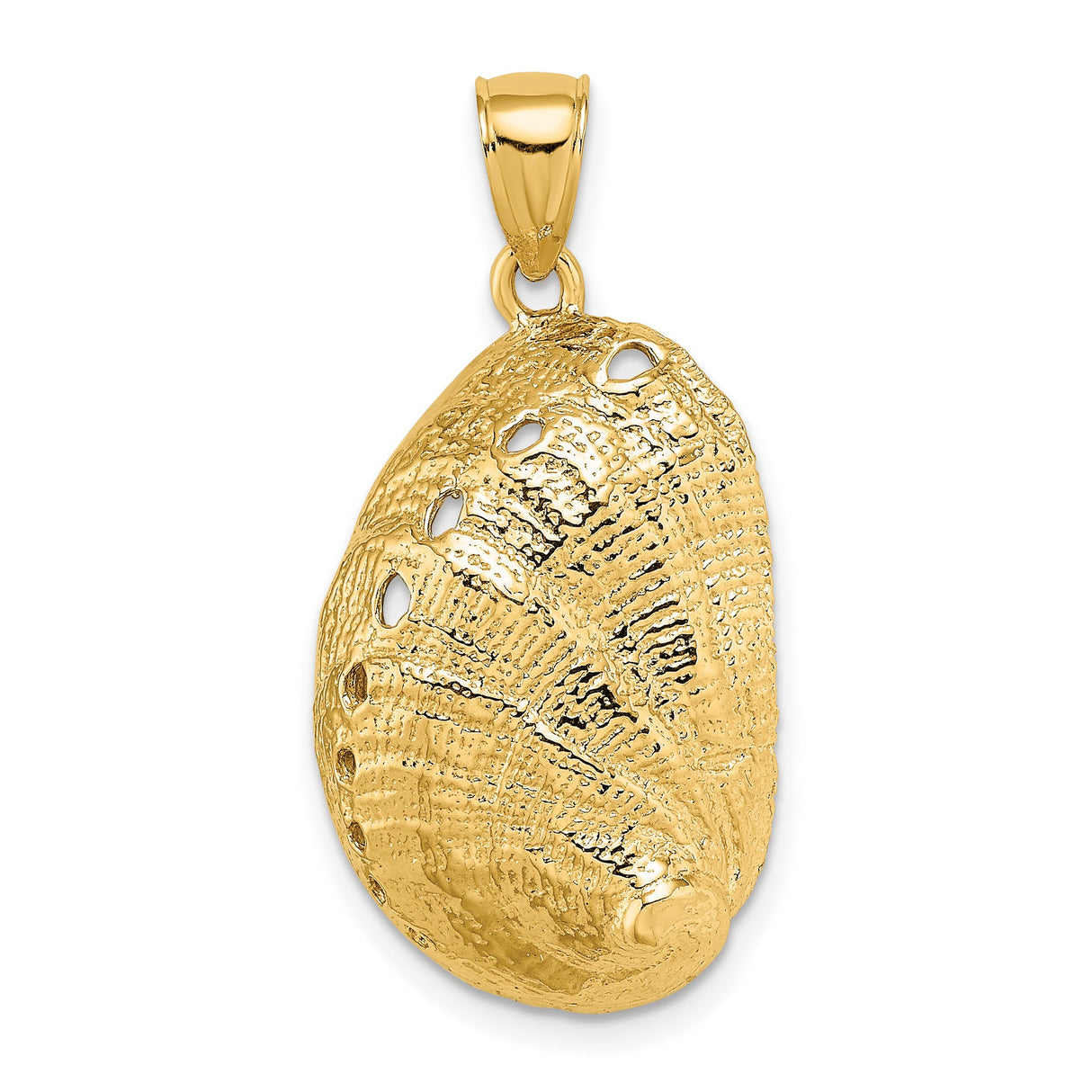 14k Yellow Gold Seashell Pendant with Abalone Shell, Nautical Beach-Inspired Jewelry for Women