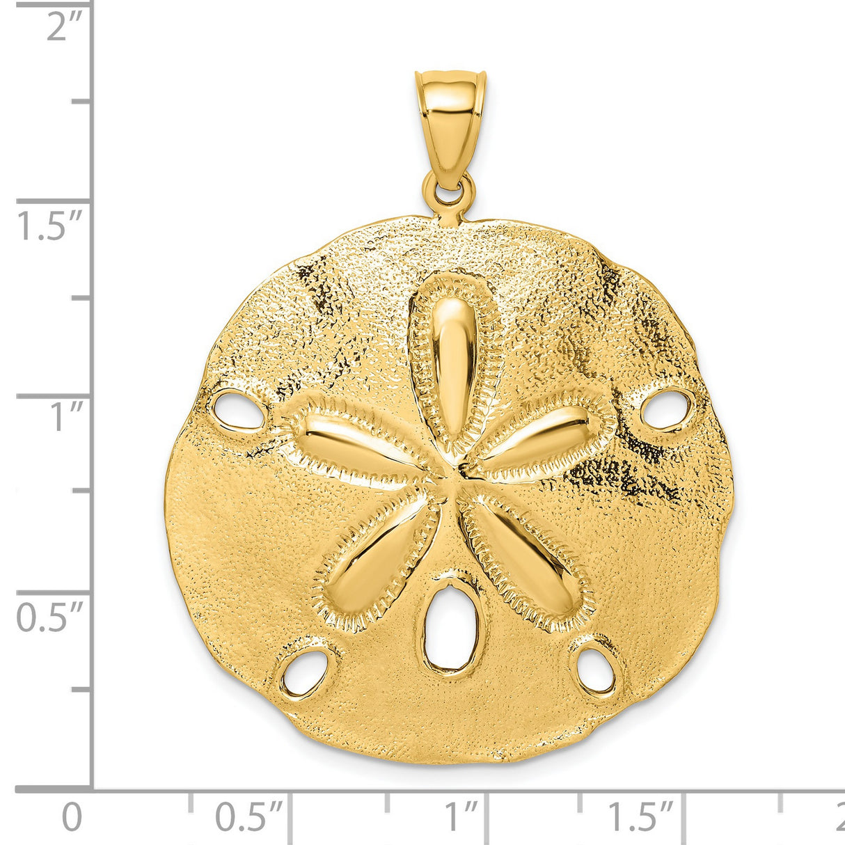 14k Yellow Gold Sand Dollar Pendant, Ocean-Inspired Beach Jewelry Charm for Women