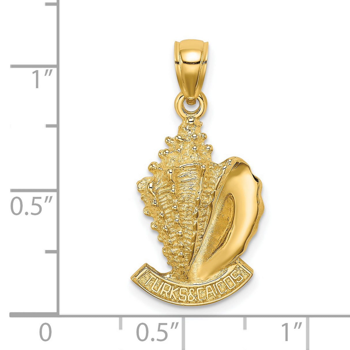 14k Yellow Gold Conch Shell Pendant with Turks and Caicos Engraving, Tropical Island Jewelry