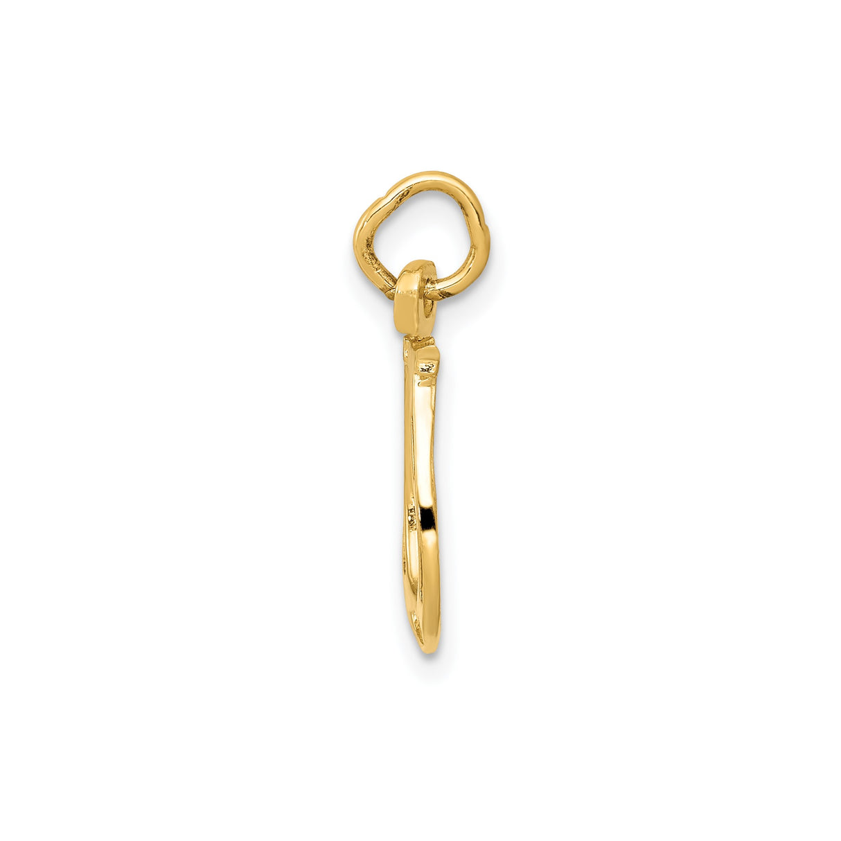 14k Yellow Gold Horseshoe Pendant with Textured Detailing, Lucky Charm Symbolizing Protection