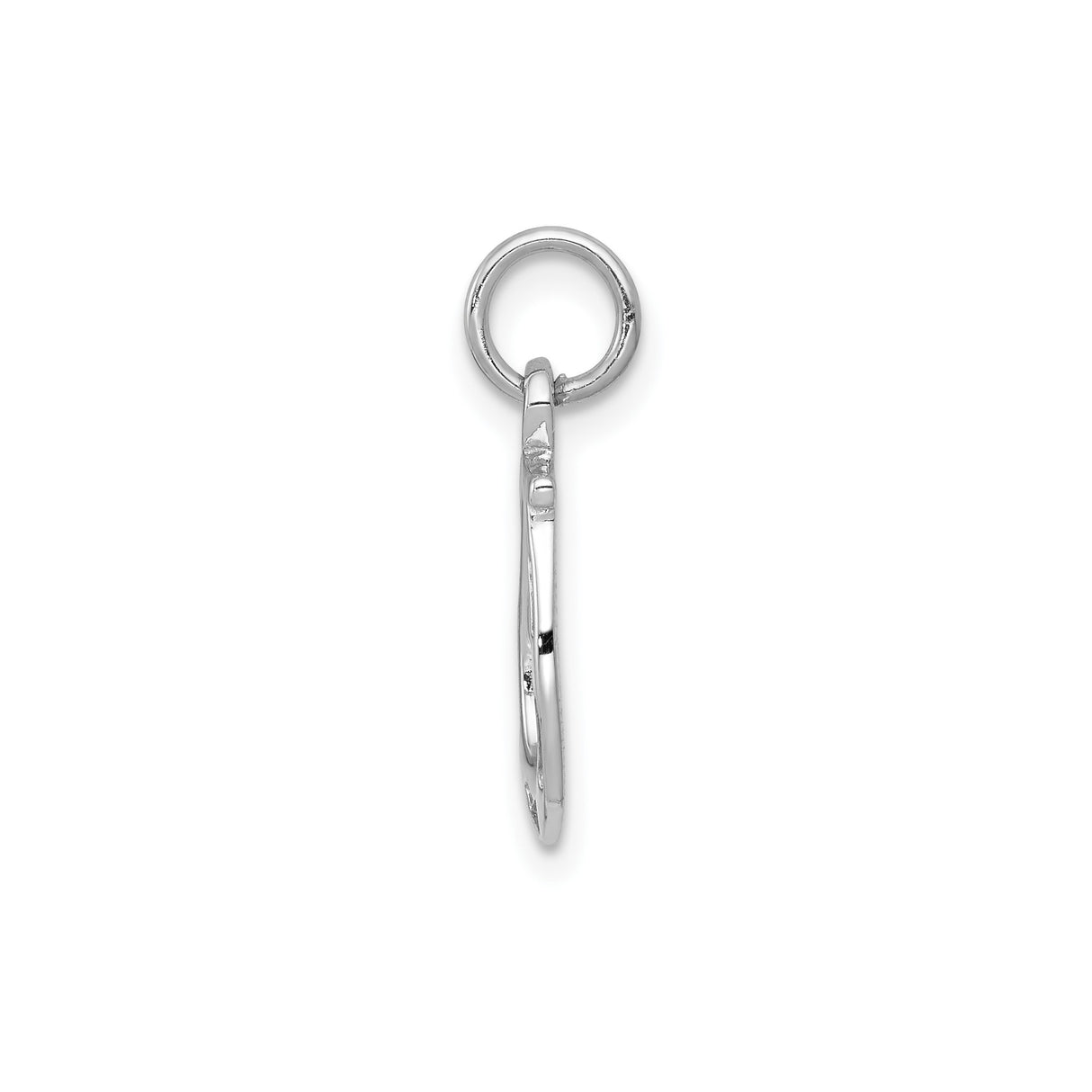 14k White Gold Horseshoe Pendant with Polished Finish and Nail Detail, Lucky Charm Jewelry