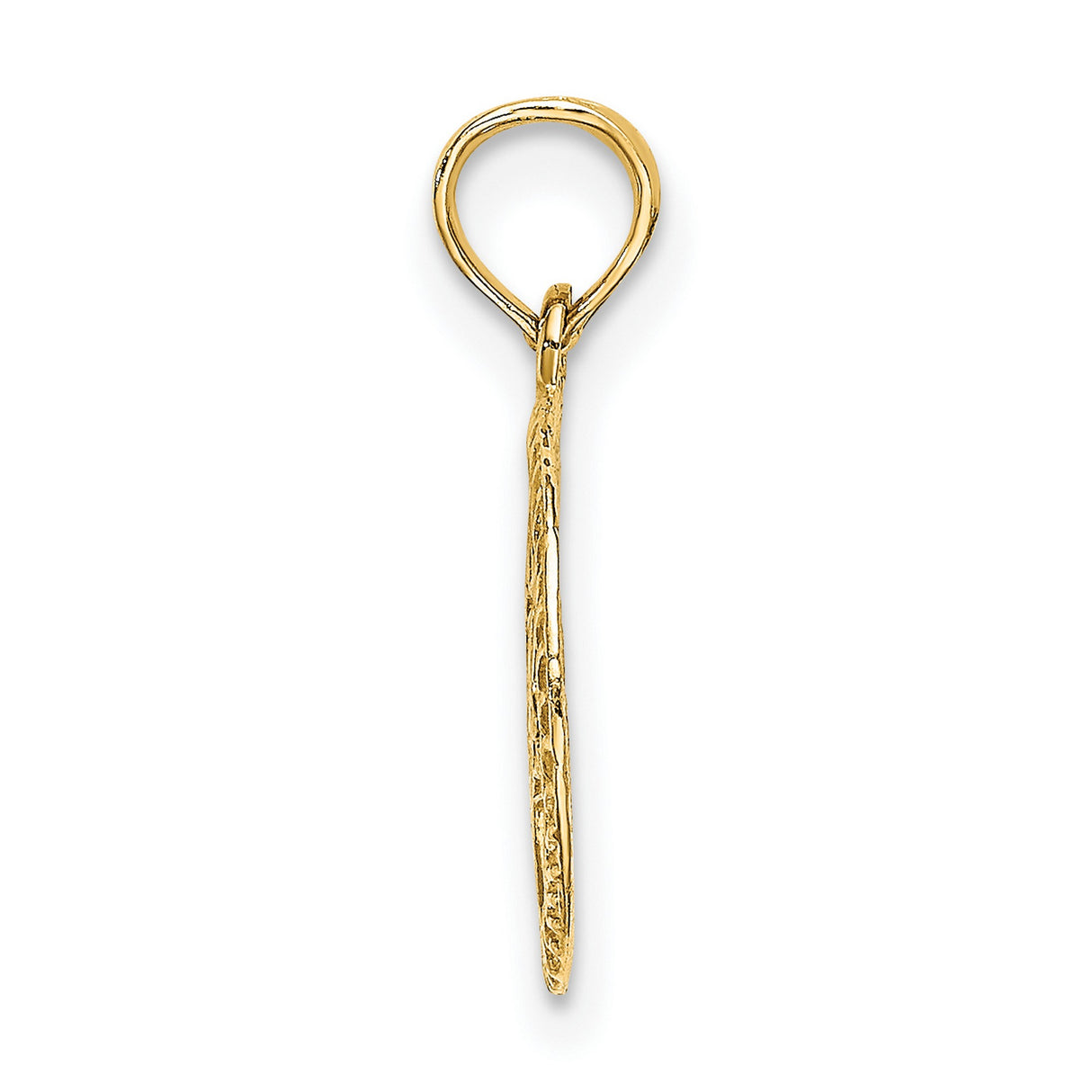 14k Yellow Gold Star of David Pendant with Textured Round Border and Hebrew Chai Symbol