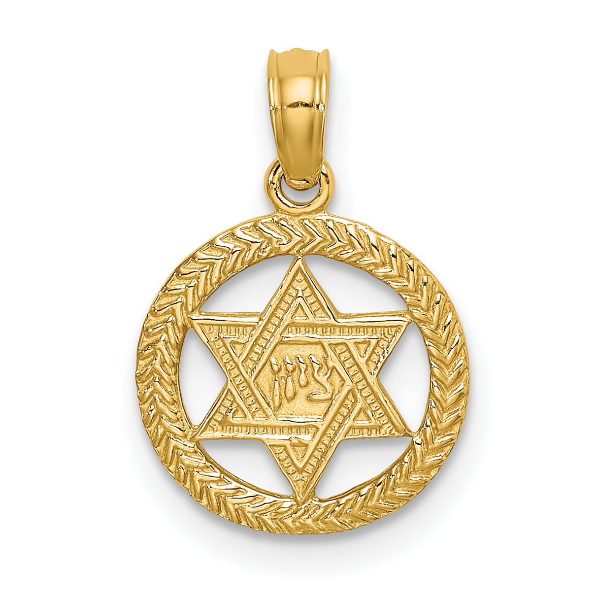 14k Yellow Gold Star of David Pendant with Textured Round Border and Hebrew Chai Symbol