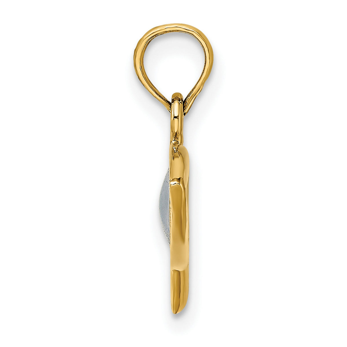 14k Yellow Gold Ichthys Fish Pendant with Blue Enamel Inlay, Christian Religious Jewelry for Women