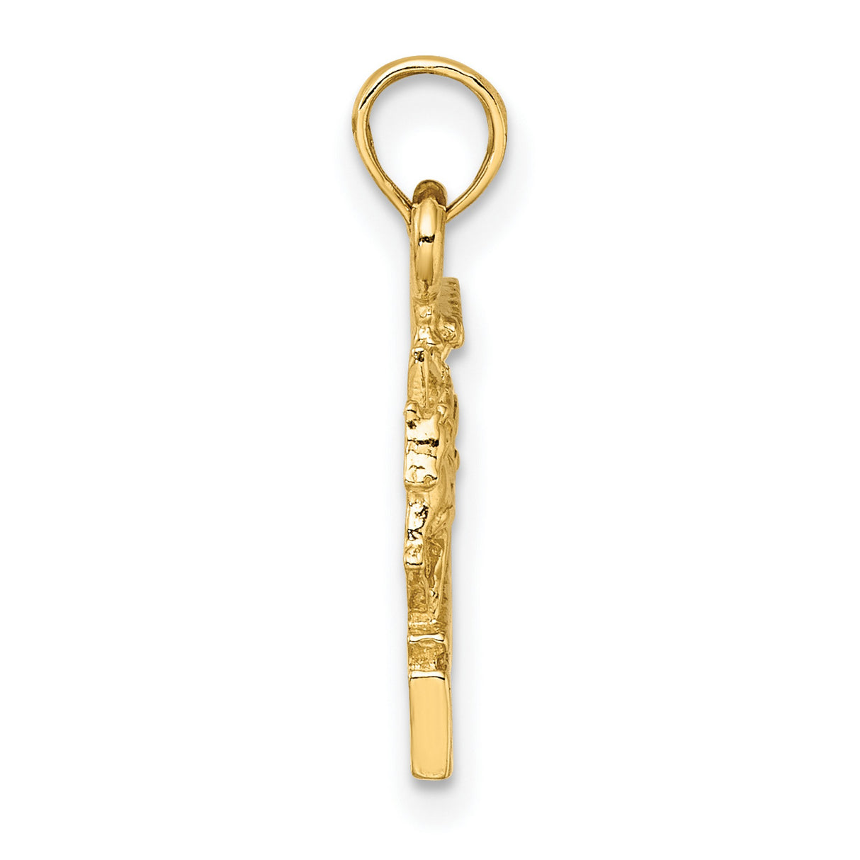 14k Yellow Gold Charleston Pendant with Horse Drawn Carriage Design, Southern Keepsake Charm