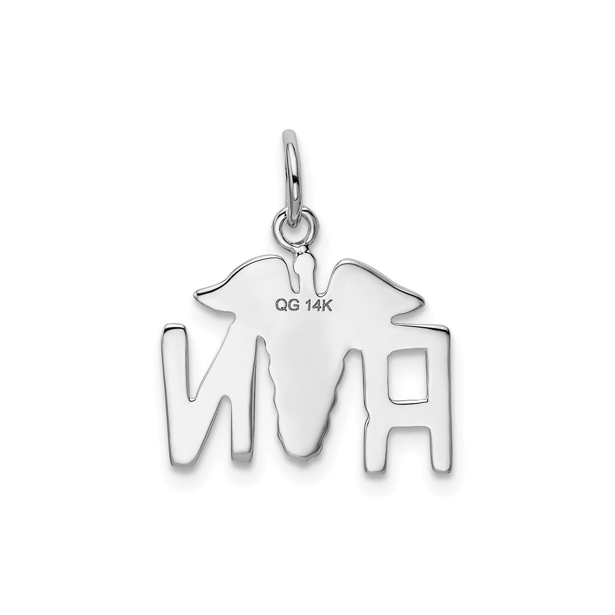 14k White Gold RN Pendant with Caduceus Symbol, Medical Charm for Nurses